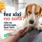 Pacote de 11 Artes Editáveis no Canva para Limpeza de Estofados