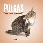 Pacote de 55 Artes Editáveis no Canva para Pet Shop